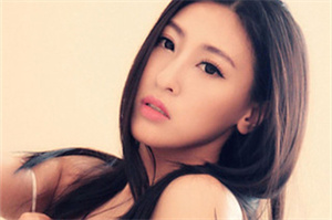 From the perspective of transparency, the accountability system in Shanghai